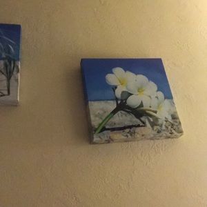 Meet your Posher, Roxana